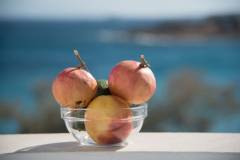 image-slider-with-thumbnail4.jpeg