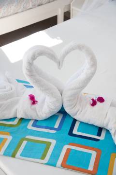 image-slider-with-thumbnail2.jpeg